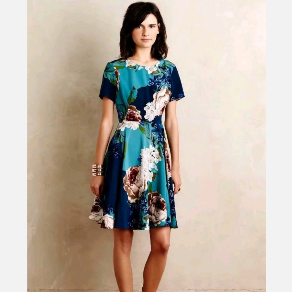 Corey Lynn Calter Paeonia Fit and Flare Dress Size 2